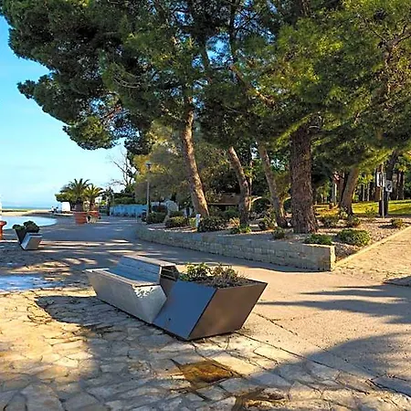 Alieti Izola